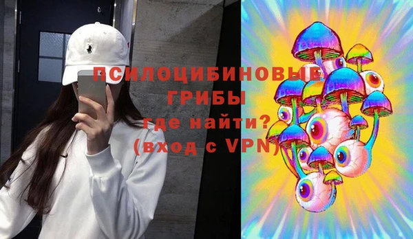 прущая мука Каменногорск