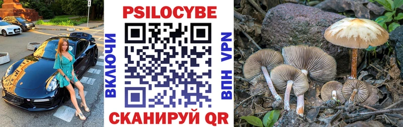 Псилоцибиновые грибы Psilocybine cubensis  площадка клад  Лабытнанги 